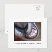 Funny Dental Checkup Benoeming Reminder Geit Briefkaart (Voorkant / Achterkant)