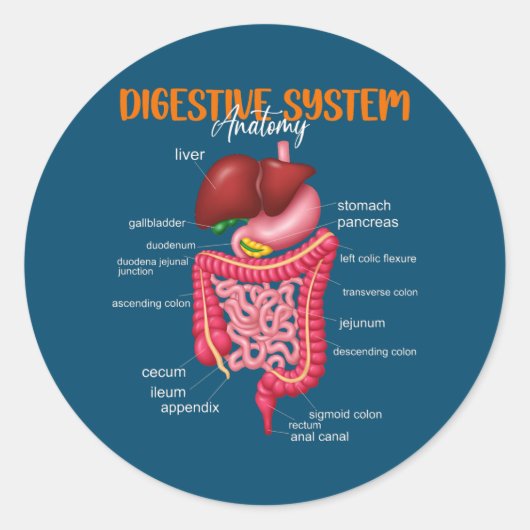 Funny Digestive System Anatomy Anatomical Biology Ronde Sticker (Voorkant)