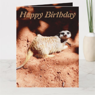 Funny Digging Meerkat Jumbo Birthday Kaart