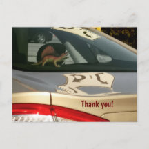 Funny Dinosaur Dank u Briefkaart