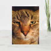 Funny Disgusted Cat Cancer Aanmoediging Kaart (Voorkant)