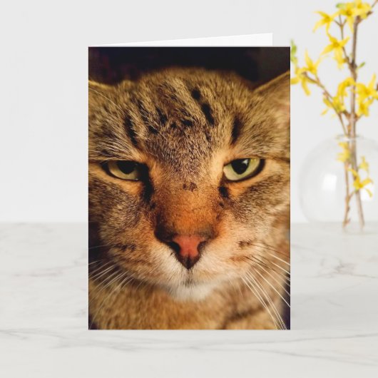 Funny Disgusted Cat Cancer Aanmoediging Kaart (Gele Bloem)