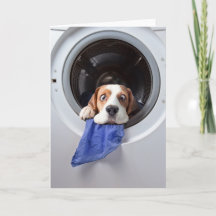 Funny dizzy beagle delicate washing