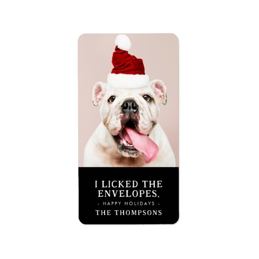 Funny Dog Afbeelding gepersonaliseerde kerstfoto Etiket (Voorkant)