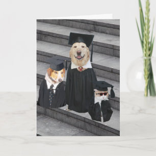Funny Dog Afstuderen Kaart