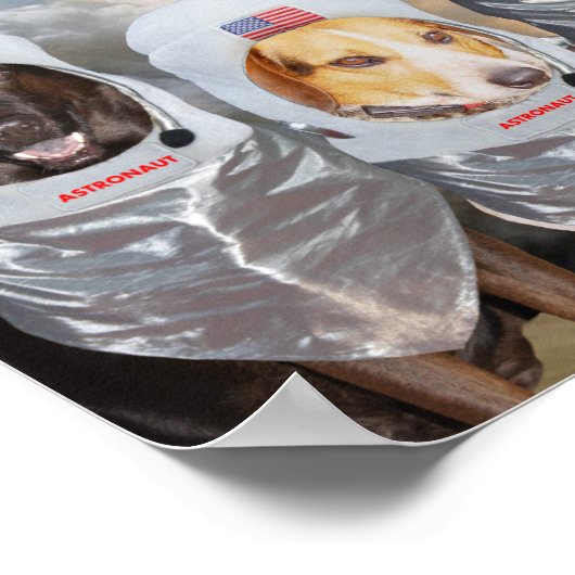 Funny Dog Astronauts Science Poster (Hoek)