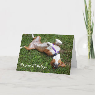 Funny Dog Birthday Card Kaart