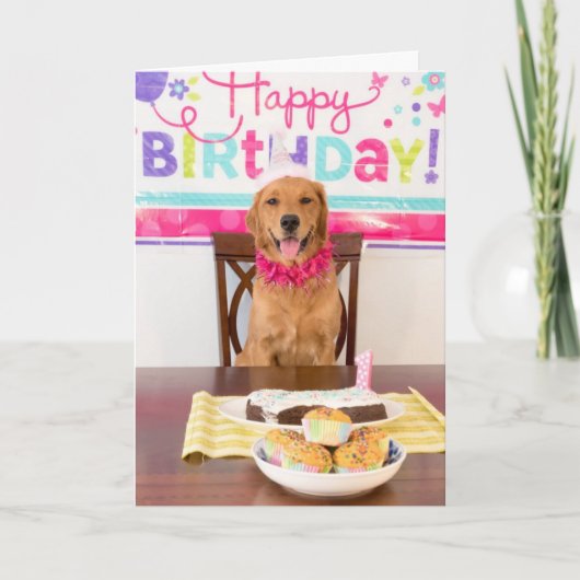 Funny Dog Birthday Card Kaart (Voorkant)
