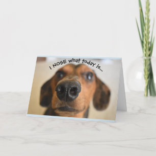 Funny Dog Birthday Card Kaart