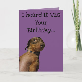 Funny Dog Birthday Card Kaart