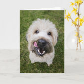 Funny Dog Birthday Card Kaart (Gele Bloem)