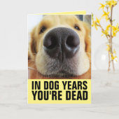FUNNY DOG BIRTHDAY, IN DOG JAREN BENT JE DODE KAAR KAART (Gele Bloem)