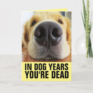 FUNNY DOG BIRTHDAY, IN DOG JAREN BENT JE DODE KAAR KAART