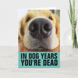 FUNNY DOG BIRTHDAY, IN DOG JAREN BENT JE DODE KAAR KAART