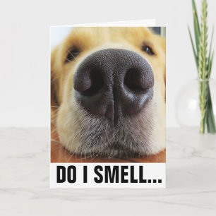 FUNNY DOG BIRTHDAY, SMELL BIRTHDAY CAKE? KAART
