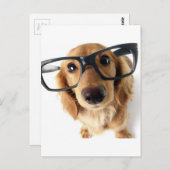 Funny Dog Briefkaart (Voorkant / Achterkant)