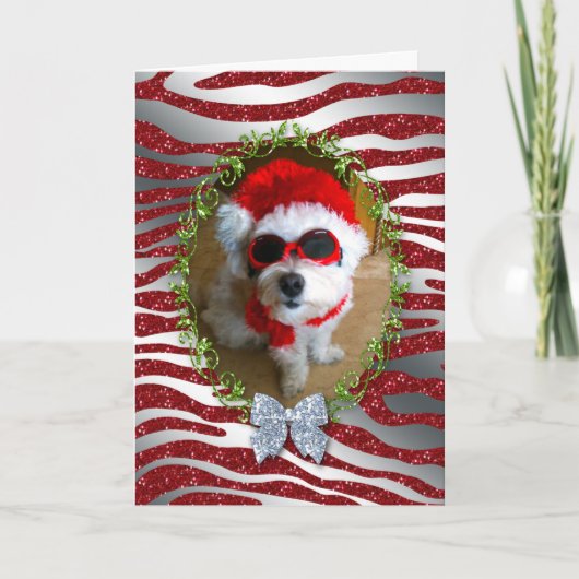 Funny Dog Christmas Kaart Zebra Glitter (Voorkant)