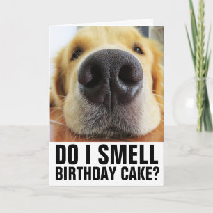 FUNNY DOG CLOSEUP BIRTHDAY CARDS KAART