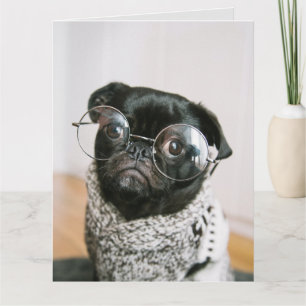 FUNNY DOG DENKEN OVER JE WENSKAARTEN KAART