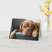 Funny Dog denkt over jou Kaart (Gele Bloem)