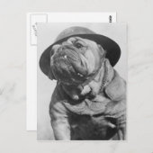Funny Dog die militaire helm bedient Briefkaart (Voorkant / Achterkant)