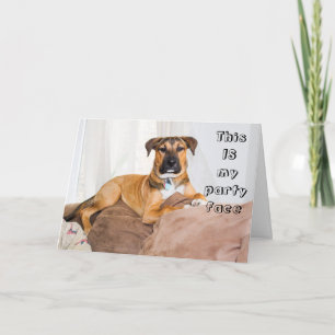 Funny Dog Dit is mijn partijfeest. Kaart