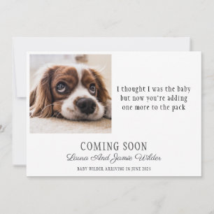 Funny Dog Foto Zwangerschap Aankondiging