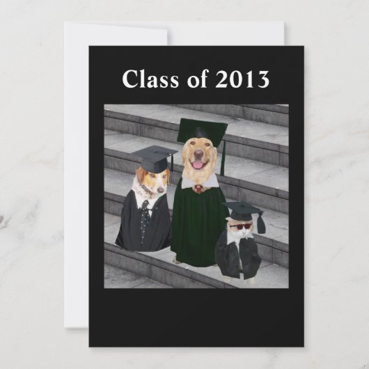 Funny Dog Graduation Party Invitation Kaart (Voorkant)