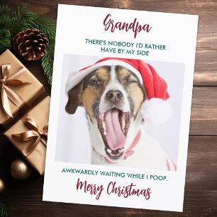 Funny Dog Grandpa Pet Photo Granddog Kerstmis Feestdagenkaart