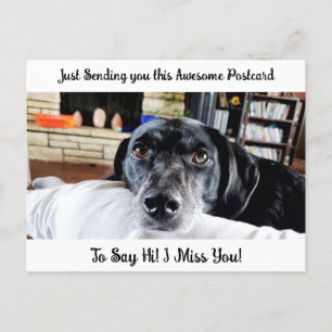 Funny Dog "I Miss You" Gezegde Hi Briefkaart
