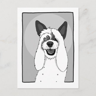 Funny Dog IV Briefkaart