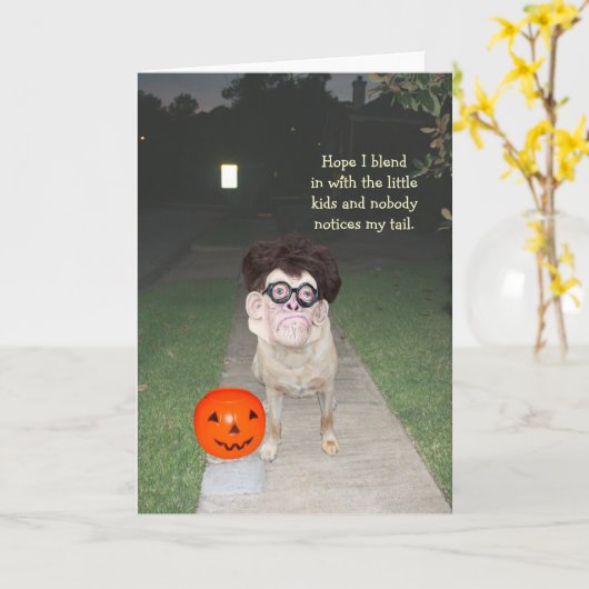 Funny Dog Kaart (Gele Bloem)