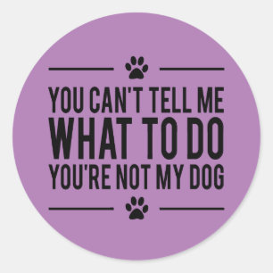 Funny Dog Lover Stickers