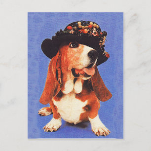 Funny Dog met Pet  jaren 70 Briefkaart