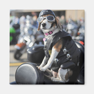 Funny dog op motorfiets foto magneet