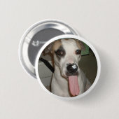 FUNNY DOG PIN RONDE BUTTON 5,7 CM (Voorkant /achterkant)