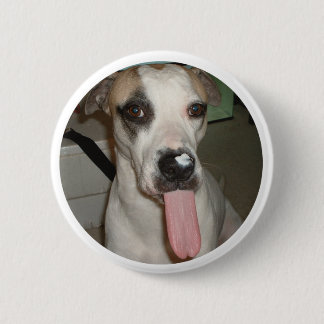 FUNNY DOG PIN RONDE BUTTON 5,7 CM