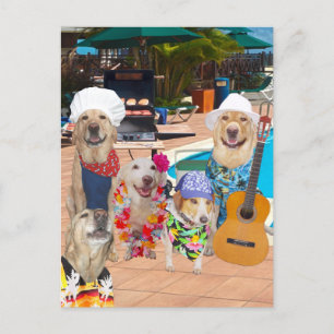 Funny Dog Pool Party Briefkaart