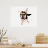 Funny dog puppy poster (Keuken)