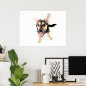 Funny dog puppy poster (Thuiskantoor)