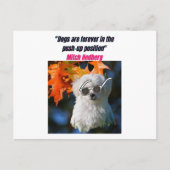 Funny Dog Quotes Briefkaart (Voorkant)