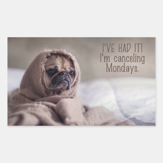 Funny Dog stickers (Voorkant)