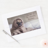 Funny Dog stickers (Envelop)