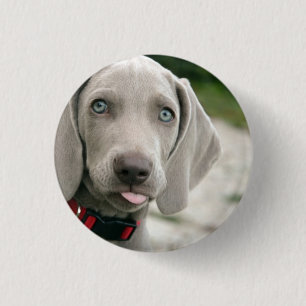Funny Dog Sticking Tongue Foto Ronde Button 3,2 Cm