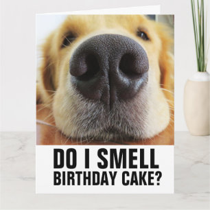 FUNNY DOG VERJAARDAG WENSKAART KAART
