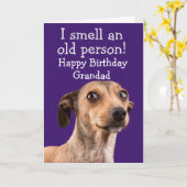 Funny dog verjaardagskaart kaart (Gele Bloem)