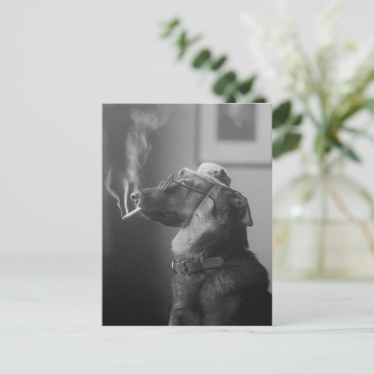 Funny Dog Wearing Pet Roking Sigarette Briefkaart (Staand voorkant)