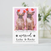 Funny Dog Wedding Invitation (Debout devant)
