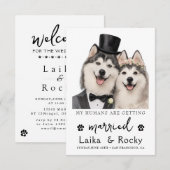 Funny Dog Wedding Invitation (Devant / Derrière)