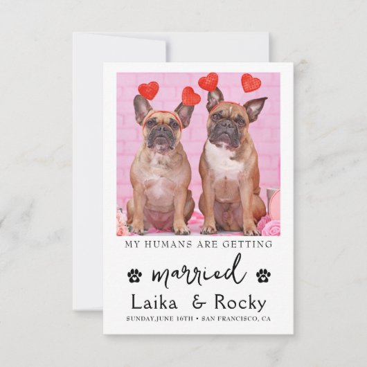 Funny Dog Wedding Invitation Save The Date (Voorkant)